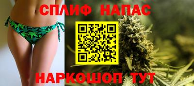 mdpv Заводоуковск