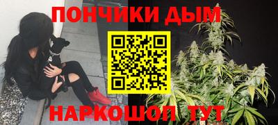 mdpv Заводоуковск
