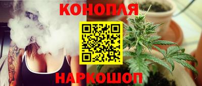 mdpv Заводоуковск