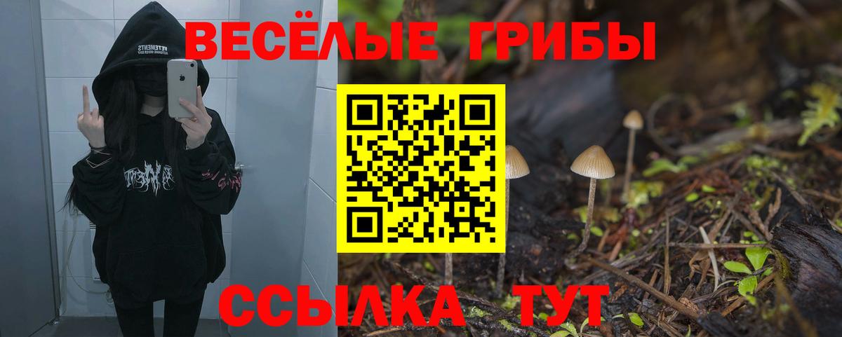 Галлюциногенные грибы Cubensis Людиново
